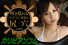 Shaved Gilr Anal Fuck! Yuuka Kokoro